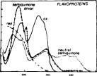 Absorption spectrum chart